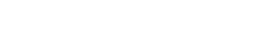 NOMZ logo top